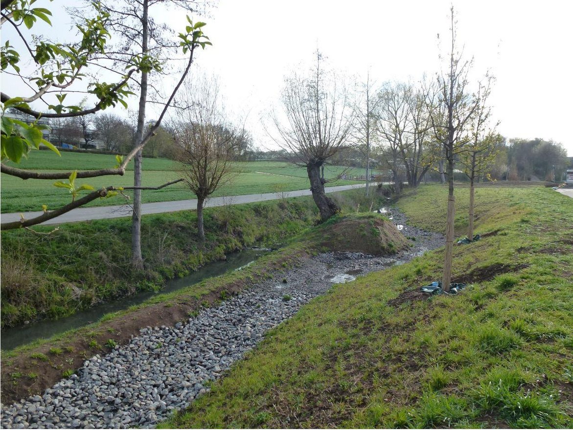 Renaturierung Lachengraben