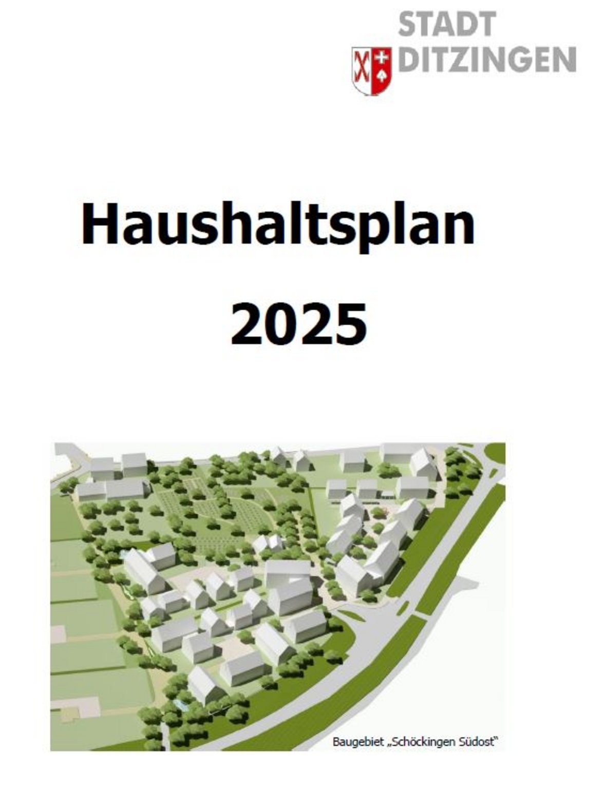 Titelseite Haushaltsplan 2025