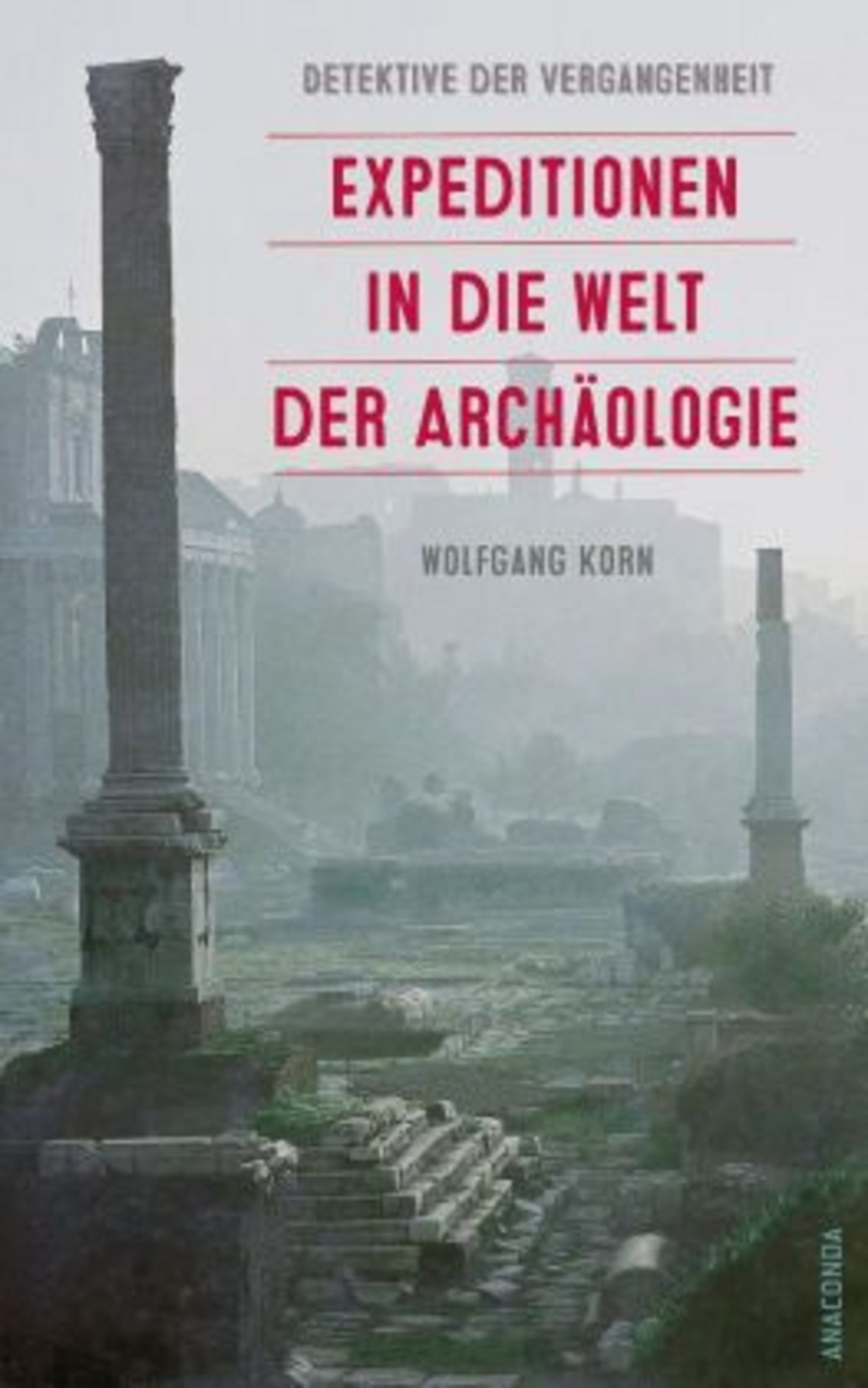Buchcover mit dem Foto einer archäologischen Ausgrabungsstätte