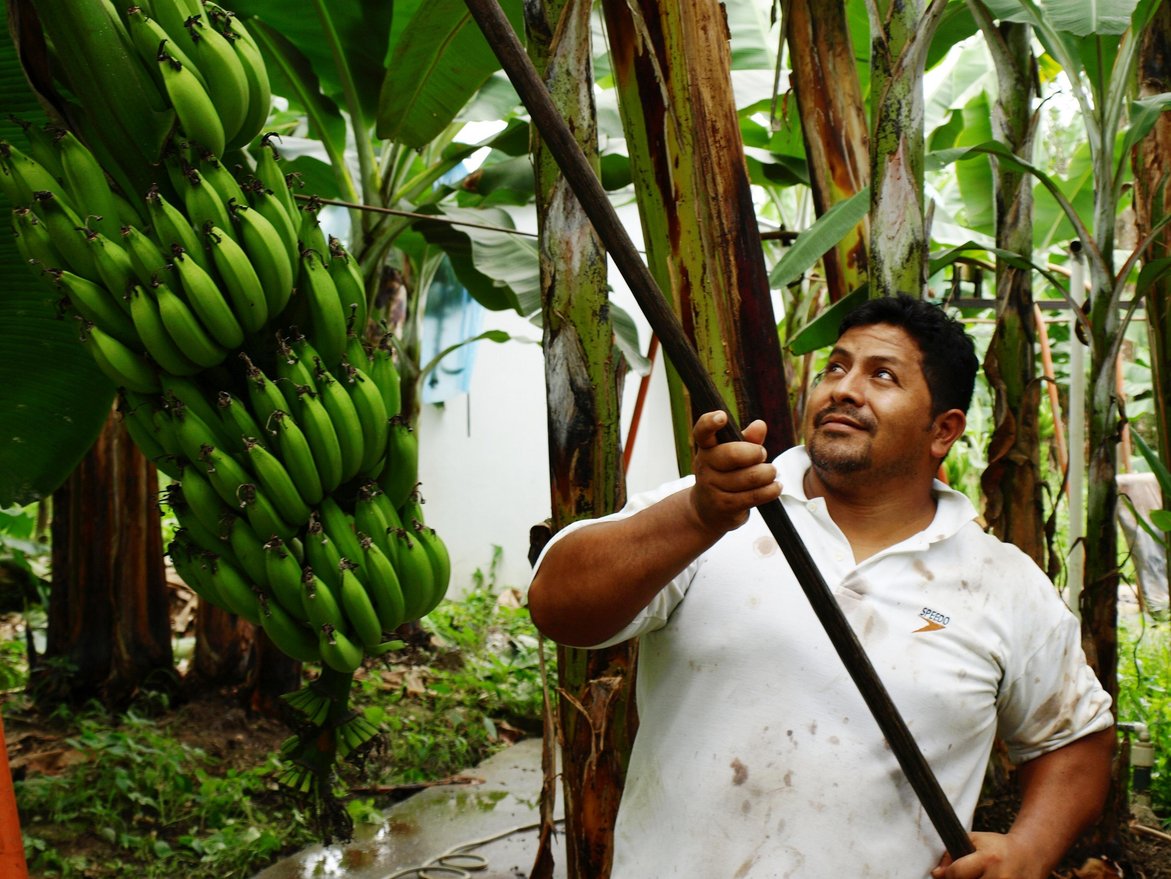 Quelle: TransFair e. V.