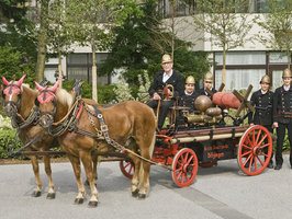 Handdruckspritze Baujahr 1863