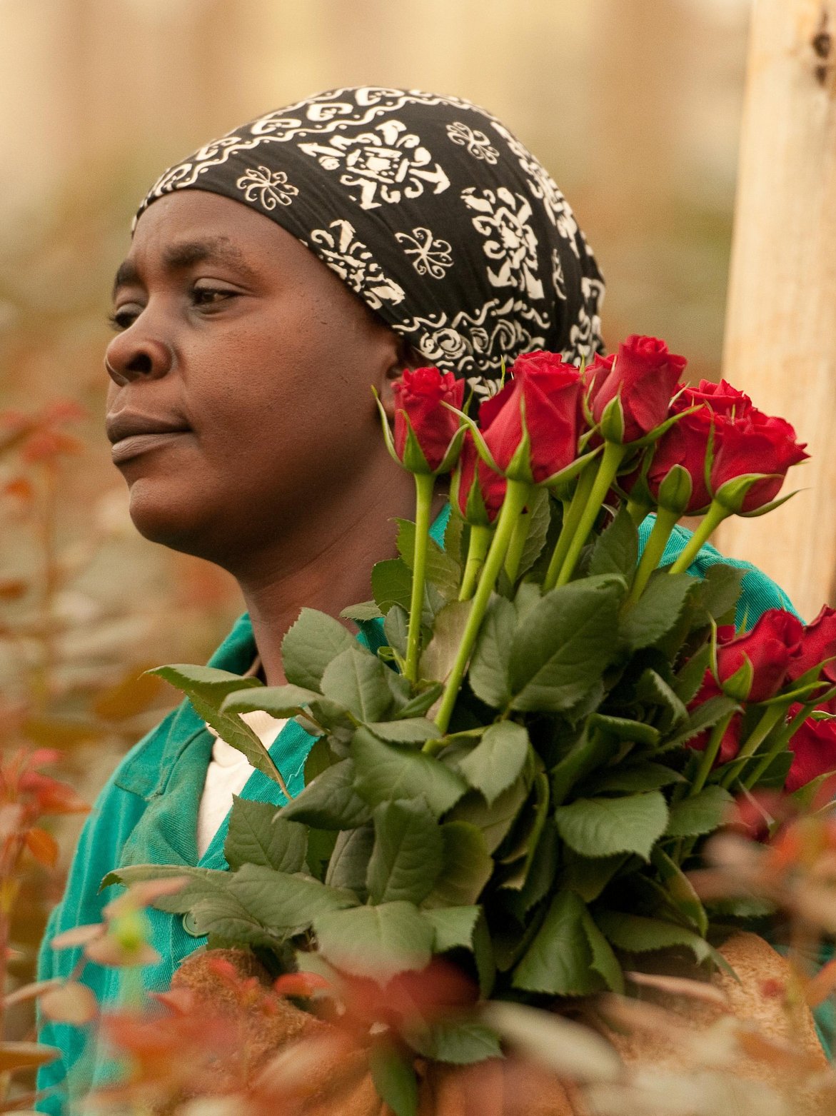 Quelle: Hartmut Fiebig