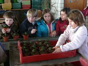 Schüler/innen der 3. Klasse der Theodor-Heuglin-Schule beim Besuch der Gärtnerei Seemann in Schöckingen